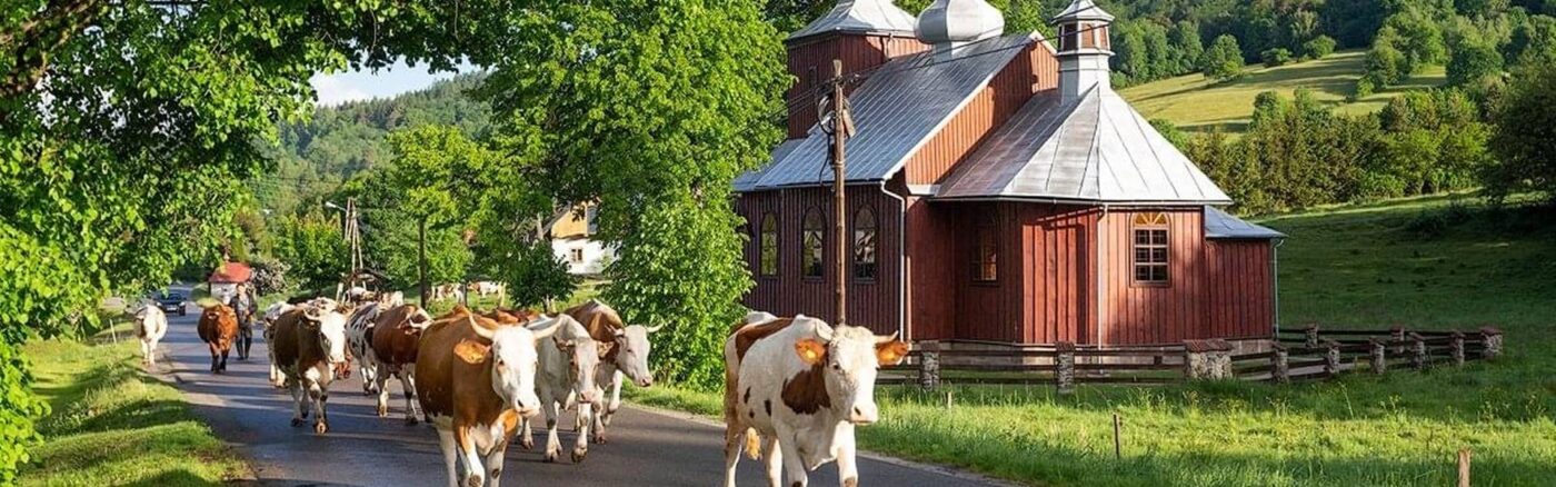 Carpatho-Rusyn, Carpatho-Russian, Rusnak, Lemko, Ruthenian, Transcarpathia, Carpathian Mountains, Austro Hungary, Greek Catholic, Minnesota, Iron Range, Wisconsin, mn, wi, Presov, Greek Catholic Orthodox, Father Toth, Clayton, WI, Bramble, MN Cornucopia, WI, Chishlom, MN, rusin, association, genealogy, heritage, ethnic, history, traditions